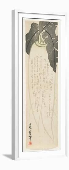 Daikon Radish, January 1864-Shunsei-Framed Premium Giclee Print