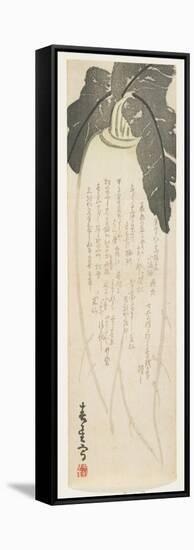 Daikon Radish, January 1864-Shunsei-Framed Stretched Canvas