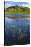 Dail Beag Loch, Lewis, Outer Hebrides, Scotland, UK, June 2009-Muñoz-Stretched Canvas