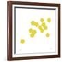 Daily Geometry 445-Tilman Zitzmann-Framed Giclee Print