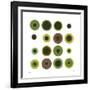 Daily Geometry 450-Tilman Zitzmann-Framed Giclee Print