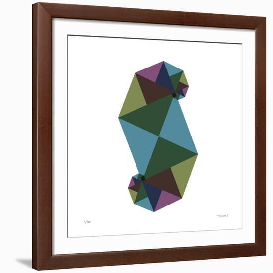 Daily Geometry 490-Tilman Zitzmann-Framed Giclee Print