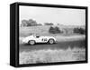 Daily Herald Race Meeting 1955-Hicklin Barham and-Framed Stretched Canvas