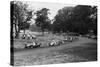 Daily Herald Race Meeting 1955-Hicklin Barham and-Stretched Canvas