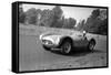 Daily Herald Race Meeting 1955-Hicklin Barham and-Framed Stretched Canvas