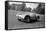 Daily Herald Race Meeting 1955-Hicklin Barham and-Framed Stretched Canvas