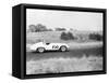 Daily Herald Race Meeting 1955-Hicklin Barham and-Framed Stretched Canvas