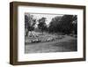 Daily Herald Race Meeting 1955-Hicklin Barham and-Framed Photographic Print