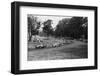 Daily Herald Race Meeting 1955-Hicklin Barham and-Framed Photographic Print