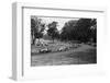 Daily Herald Race Meeting 1955-Hicklin Barham and-Framed Photographic Print