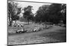 Daily Herald Race Meeting 1955-Hicklin Barham and-Mounted Photographic Print