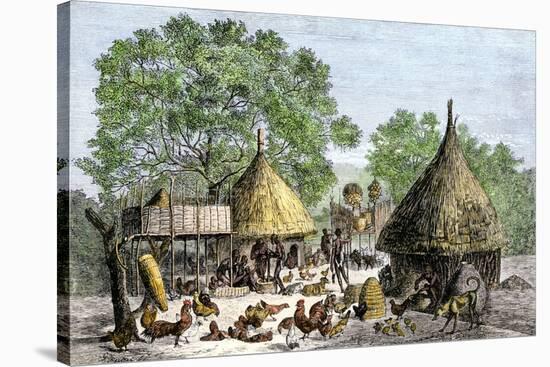 Daily Life in an African Village in the Congo Basin-null-Stretched Canvas