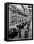 Daimler Factory, 1950S-null-Framed Stretched Canvas