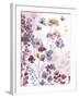 Dainty Bloom-Sandra Jacobs-Framed Giclee Print