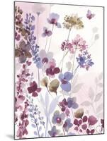 Dainty Bloom-Sandra Jacobs-Mounted Giclee Print