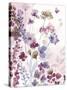 Dainty Bloom-Sandra Jacobs-Stretched Canvas