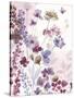 Dainty Bloom-Sandra Jacobs-Stretched Canvas