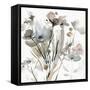 Dainty Blooms I-Carol Robinson-Framed Stretched Canvas