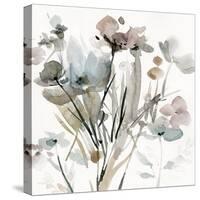 Dainty Blooms I-Carol Robinson-Stretched Canvas