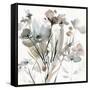 Dainty Blooms I-Carol Robinson-Framed Stretched Canvas