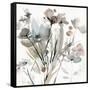 Dainty Blooms I-Carol Robinson-Framed Stretched Canvas