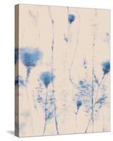 Dainty Blue-Tanuki-Stretched Canvas