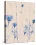 Dainty Blue-Tanuki-Stretched Canvas