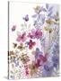 Dainty Florals-Sandra Jacobs-Stretched Canvas