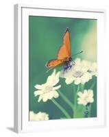 Dainty-Andreas Stridsberg-Framed Giclee Print