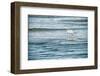 Dainty-Mary Lou Johnson-Framed Giclee Print