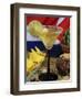 Daiquiri Cocktail and Cuban Flag, Caribbean-Nico Tondini-Framed Photographic Print