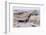 Dairen: the Harbour, with Wharf-null-Framed Photographic Print