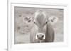 Dairy Barn Neutral-Nathan Larson-Framed Photographic Print