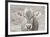 Dairy Barn Neutral-Nathan Larson-Framed Photographic Print