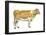 Dairy Cattle (Bos Taurus), Mammals-Encyclopaedia Britannica-Framed Poster