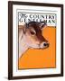 "Dairy Cow," Country Gentleman Cover, May 12, 1923-Charles Bull-Framed Giclee Print