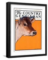 "Dairy Cow," Country Gentleman Cover, May 12, 1923-Charles Bull-Framed Giclee Print