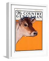 "Dairy Cow," Country Gentleman Cover, May 12, 1923-Charles Bull-Framed Giclee Print