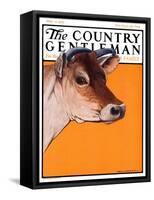 "Dairy Cow," Country Gentleman Cover, May 12, 1923-Charles Bull-Framed Stretched Canvas