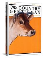 "Dairy Cow," Country Gentleman Cover, May 12, 1923-Charles Bull-Stretched Canvas
