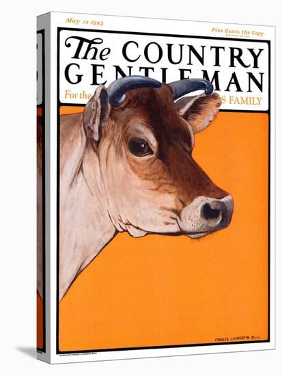 "Dairy Cow," Country Gentleman Cover, May 12, 1923-Charles Bull-Stretched Canvas