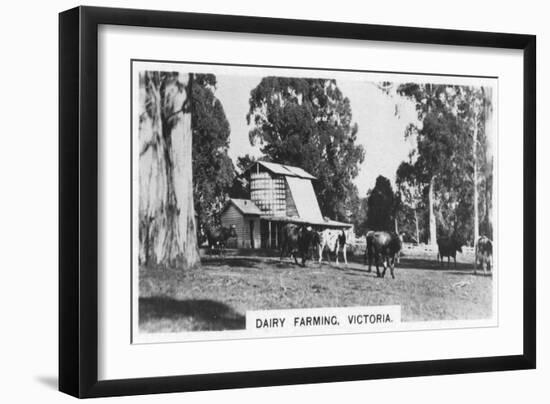 Dairy Farming, Victoria, Australia, 1928-null-Framed Giclee Print