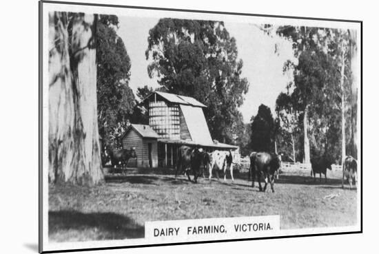 Dairy Farming, Victoria, Australia, 1928-null-Mounted Giclee Print