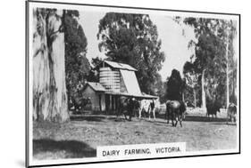 Dairy Farming, Victoria, Australia, 1928-null-Mounted Giclee Print