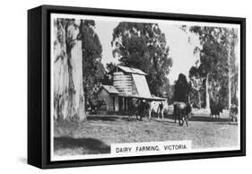 Dairy Farming, Victoria, Australia, 1928-null-Framed Stretched Canvas