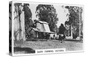 Dairy Farming, Victoria, Australia, 1928-null-Stretched Canvas