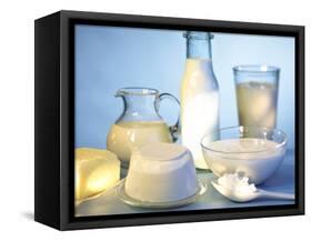 Dairy Products, Butter and a Spoonful of Cottage Cheese-Ulrike Koeb-Framed Stretched Canvas