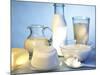 Dairy Products, Butter and a Spoonful of Cottage Cheese-Ulrike Koeb-Mounted Photographic Print