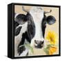 Daiseis for You I-Lanie Loreth-Framed Stretched Canvas