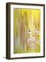 Daises-Sarah Tiffany King-Framed Giclee Print